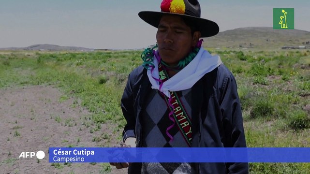 Waru Waru, la técnica de agricultura indígena que salva cultivos del cambio climático