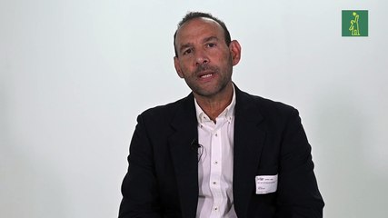 Franquicias dominicanas compiten y prosperan frente a marcas internacionales