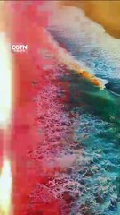 Why should we care about plankton?