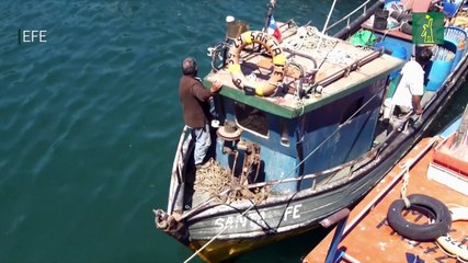 La flota china en aguas suramericanas, un desafío para la sostenibilidad y la soberanía