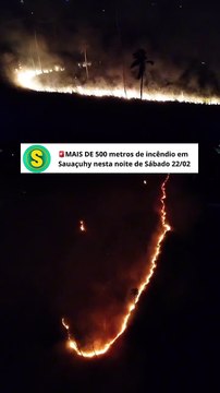 Incêndio de grandes proporções destrói área de vegetação em Ipioca 
