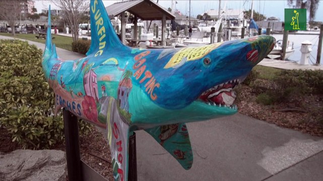 Florida es el lugar con más mordeduras de tiburones, pero aún no anule sus vacaciones