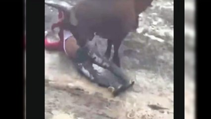 Joven es embestido por un toro en tradicionales corridas en El Seibo
