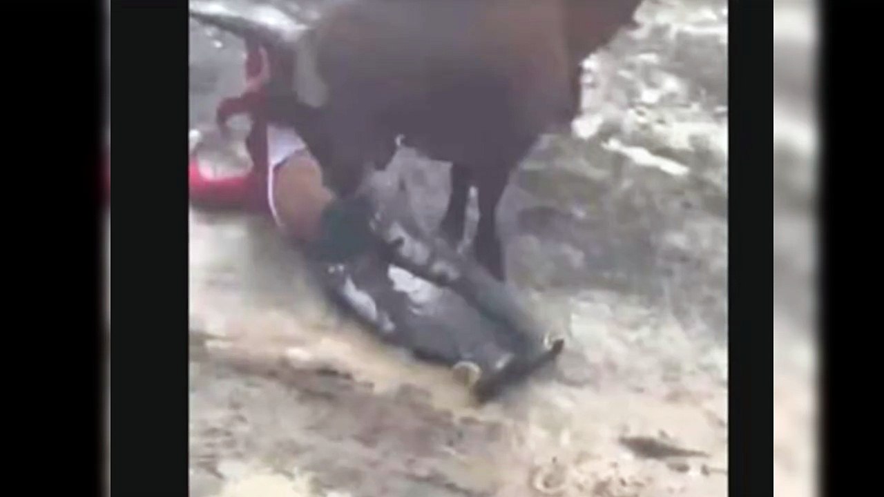 Joven es embestido por un toro en tradicionales corridas en El Seibo