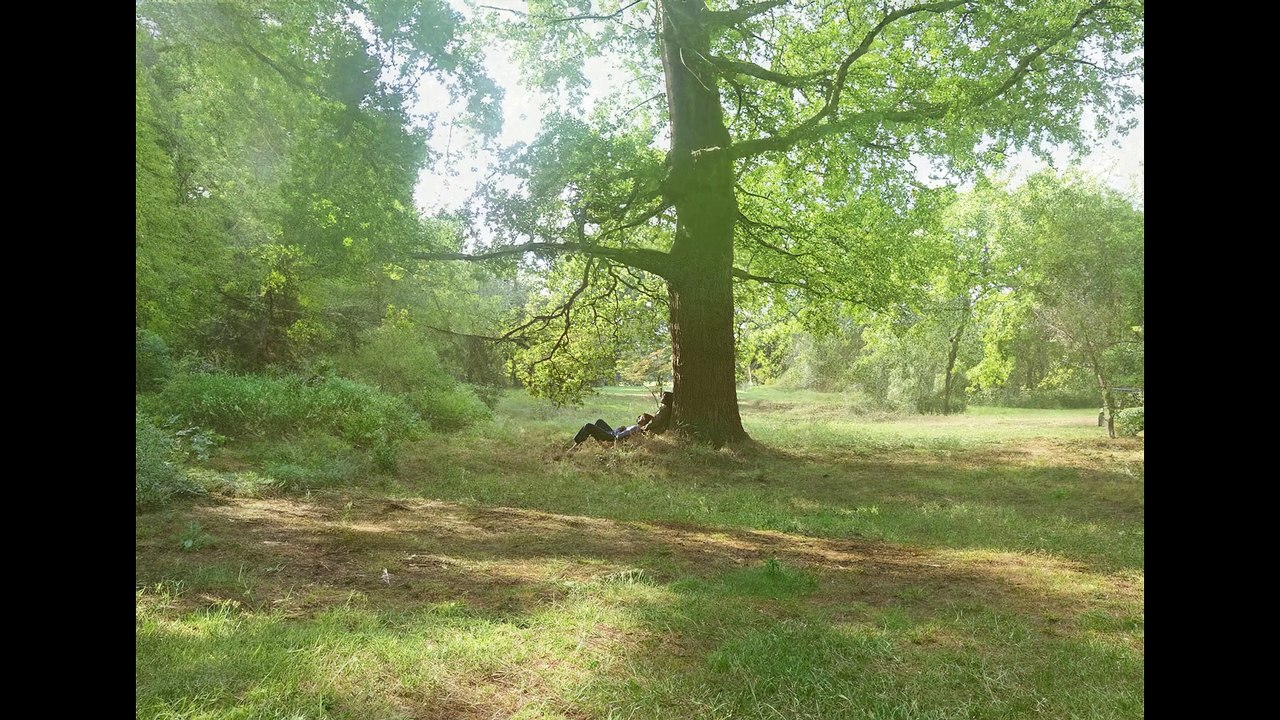 John Lennon & Ono w The Plastic Ono Band - Mother