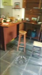 Mãe e filho são presos por manter laboratório de maconha em Nova Friburgo