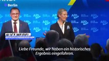 Weidel: AfD 