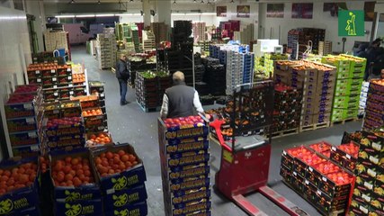 Cada día se echaron a perder 1,000 millones de comidas en 2022, según la ONU