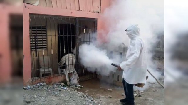 Reporte OPS dice casos sospechosos de dengue subieron a 7,663