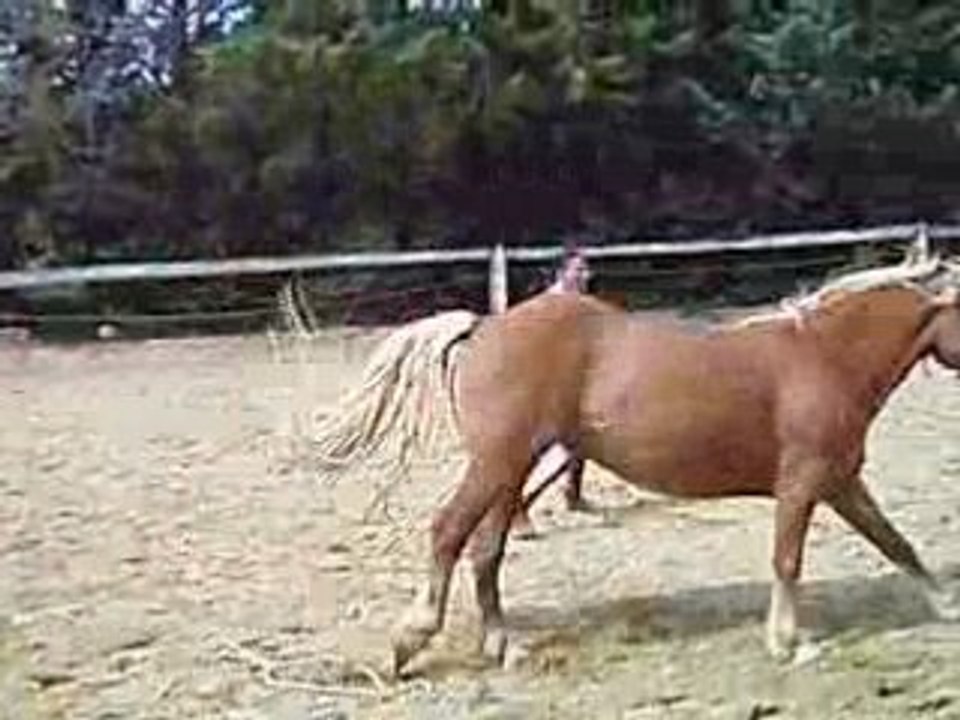 03 05 08 044