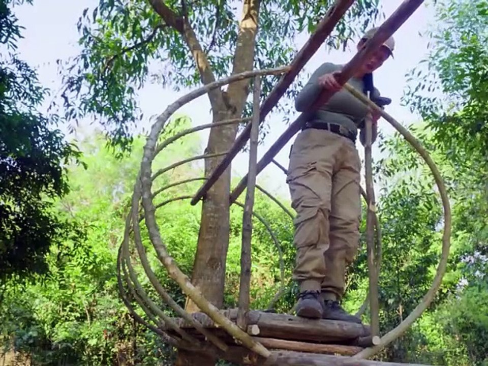 Solo Treehouse Camping in the Mountains – Midnight Wild Boar Encounter!