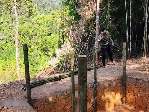 Solo Wilderness Camping: Building a Bamboo Shelter for the Night #survival #camping #viralvideo