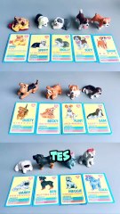 Puppy in My Pocket: A Magical World of Cute Puppies 🐶