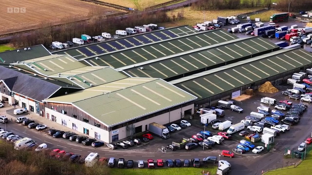 Countryfile - Stirling Bull Sales