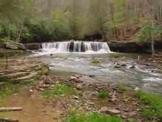 Camp Creek Waterfalls Walk