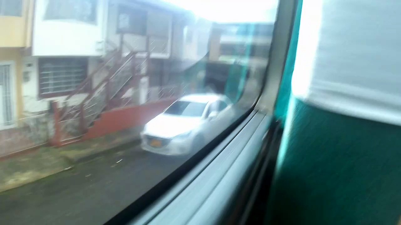 A los Guayacanes Parte 1