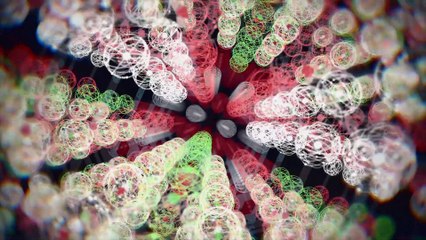 Cosmos 2014 - Capítulo 6: Explorando el Mundo Subatómico 🧬