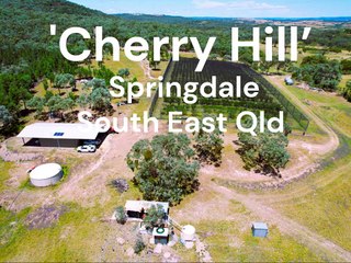 Cherry Tree Hill, Springdale, Qld | February 24, 2025 | Farmonline