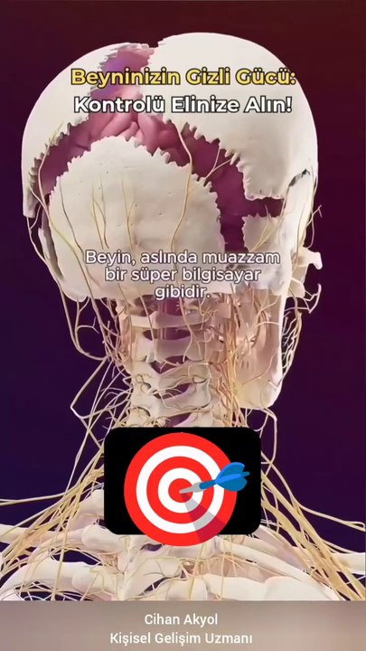 Nöroplastisite