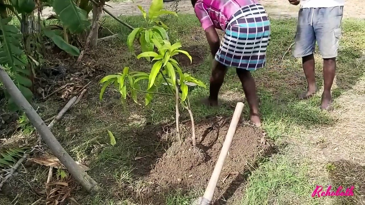 BERAT DAN KUAT! INILAH Alat Canggih yang Bisa Melakukan Pekerjaan Berat Secara Mudah!