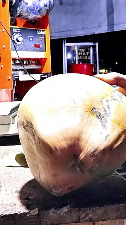 Kupas Kelapa muda segar