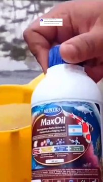 Apakan probiomax boleh untuk bibis pakan❓