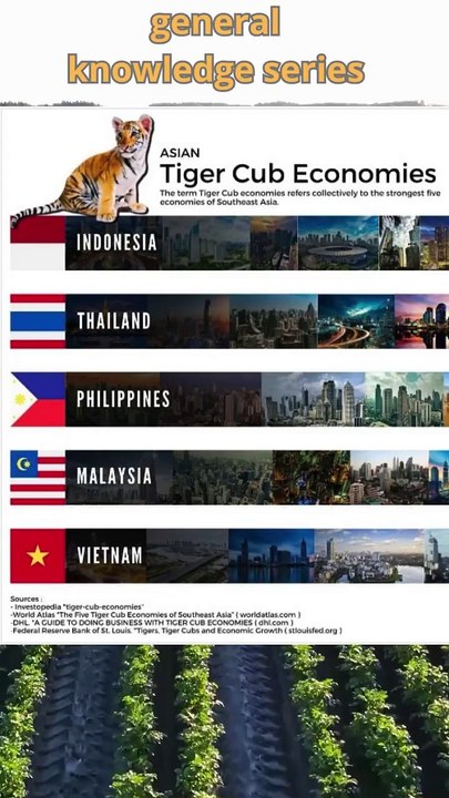five strongest economies in Southeast Asia Tiger Cub#short