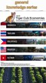 five strongest economies in Southeast Asia Tiger Cub#short