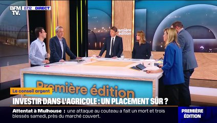 Investir dans les terres agricoles: un bon placement?