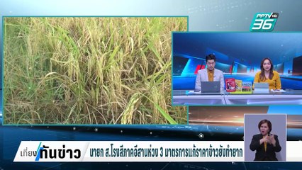 นายก ส.โรงสีภาคอีสานห่วง 3 มาตรการแก้ราคาข้าวยังทำยาก| เที่ยงทันข่าว |   24 ก.พ. 68