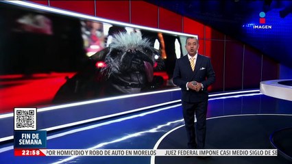 Peggy se corona como el perro más feo de Gran Bretaña