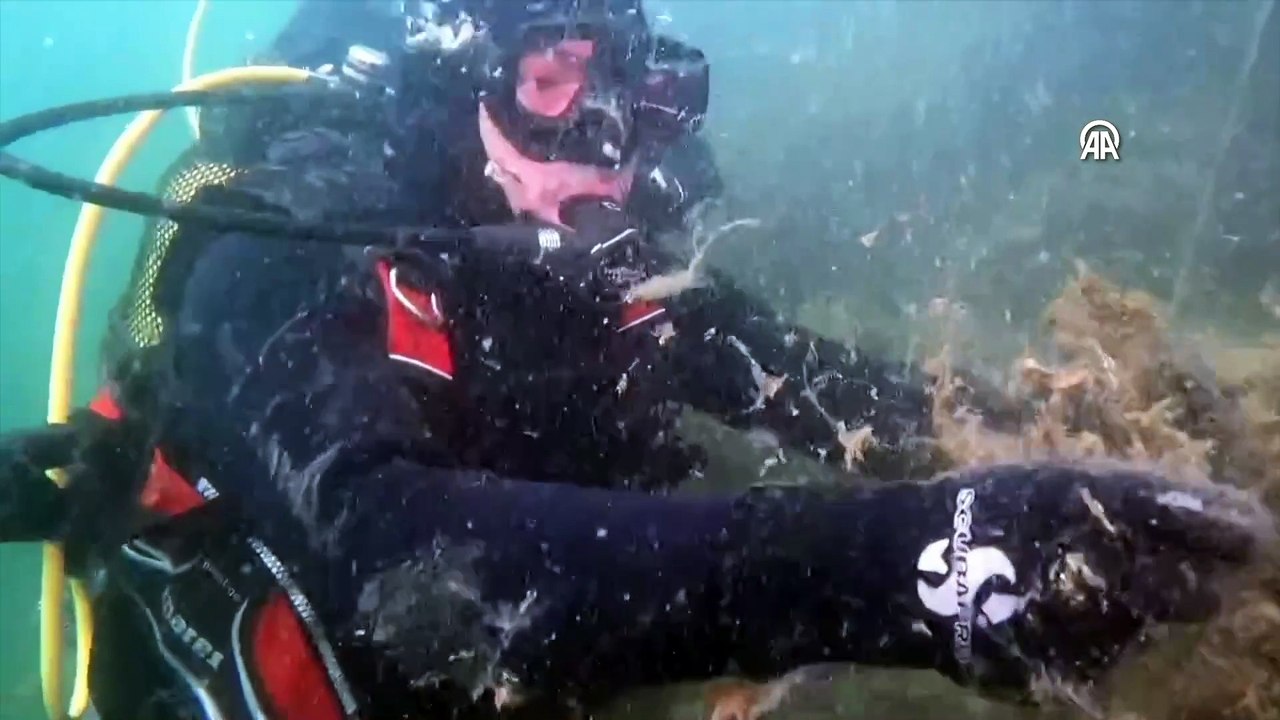 18 metrede yoğun müsilaj! Marmara Denizi’nden çığlık