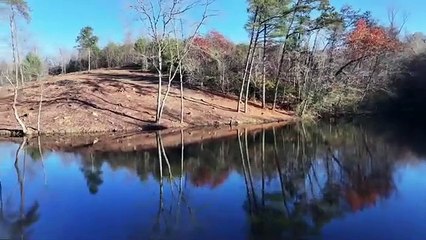 Unrestricted Large Acreage with BIG Mountain Views and Year Round Creeks in Wilkes County NC