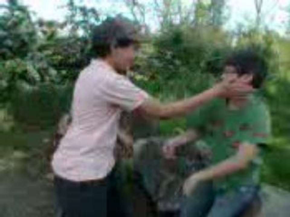 Gifle