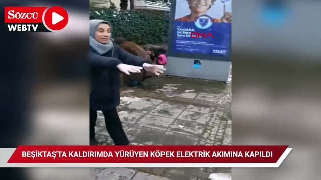 Beşiktaş'ta kaldırımda yürüyen köpek elektrik akımına kapıldı