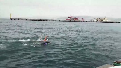 Sinoplu yüzücüler ekstrem koşullarda yarışmaya hazırlanıyor