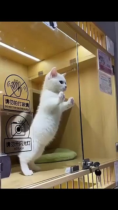 😆😆lên nhac