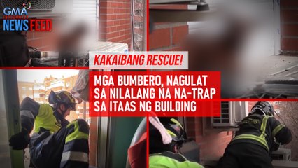 Mga bumbero, nagulat sa nilalang na na-trap sa itaas ng building | GMA Integrated Newsfeed