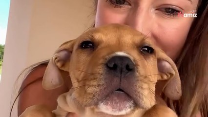 Son mari s'absente pour « un voyage d'affaires » : il sort de son sac la preuve vivante de son mensonge (vidéo)