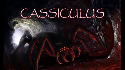 Hat jemand Angst vor SPINNEN ? 🕷️😱🕷️