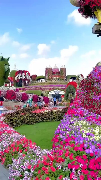 🌹🌹🌹🌹🌹🌹🌹🌹🌹🌹🌹🌹🌹🌹🌹🌹🌹🌹🌹🌹🌹🌹(720P_HD)