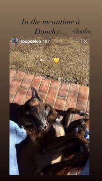 Loup Delon et Loubo à Douchy