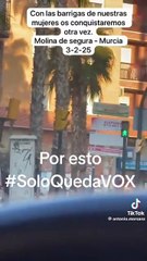 Publicación en Tiktok que ha motivado que un juzgado investigue si el líder de Vox en Molina de Segura ha cometido un delito de odio.