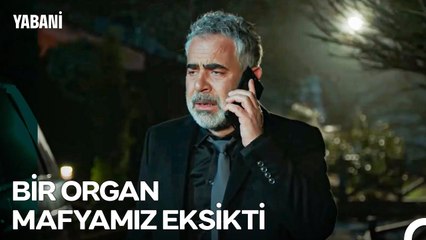 Taklacı Serhan #25; Yanlış Kararların Büyük Bedeli - Yabani