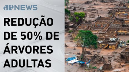 Pesquisa aponta perda de biodiversidade após rompimento da barragem em Mariana