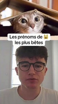 Les prénoms de chat les plus bêtes 🙀 #prenom #prénom #chat #chats