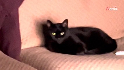 Man woken up by voices at 3am: He finds the culprit sitting in his living room