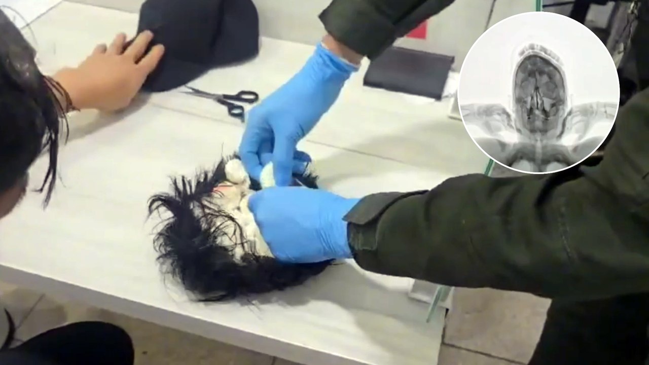 Hombre fue detenido en Cartagena intentando llevar cocaína en una peluca: eran al menos 400 dosis