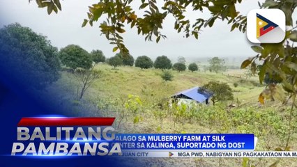 DOST, suportado ang pagpapalakas ng silk industry sa Kalinga