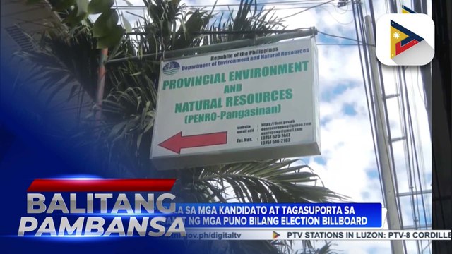 DENR, nagbabala sa mga kandidato at kanilang mga taga-suporta na ginagawang billboard ang mga puno